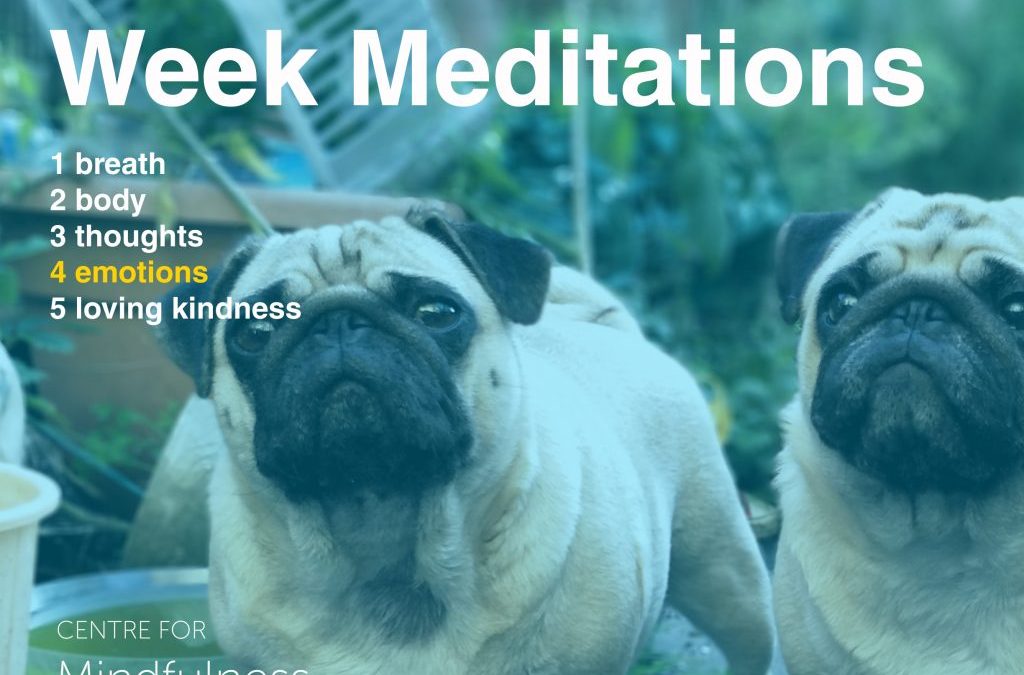 Mental Health Week: Elevating Awareness of Emotions